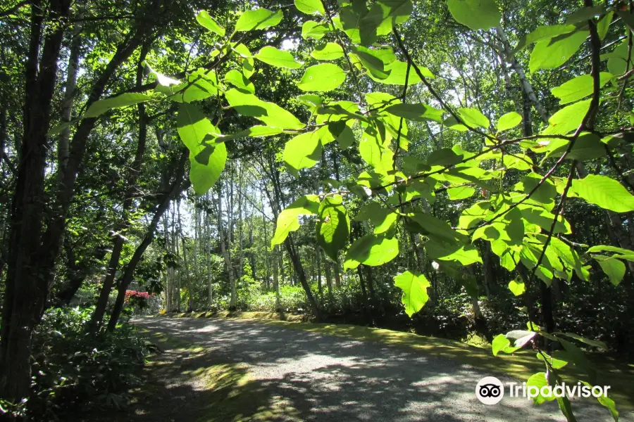 Tokoro Forest of Remains