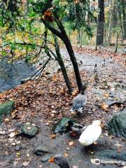 Stanwood Homestead Museum and Bird Sanctuary