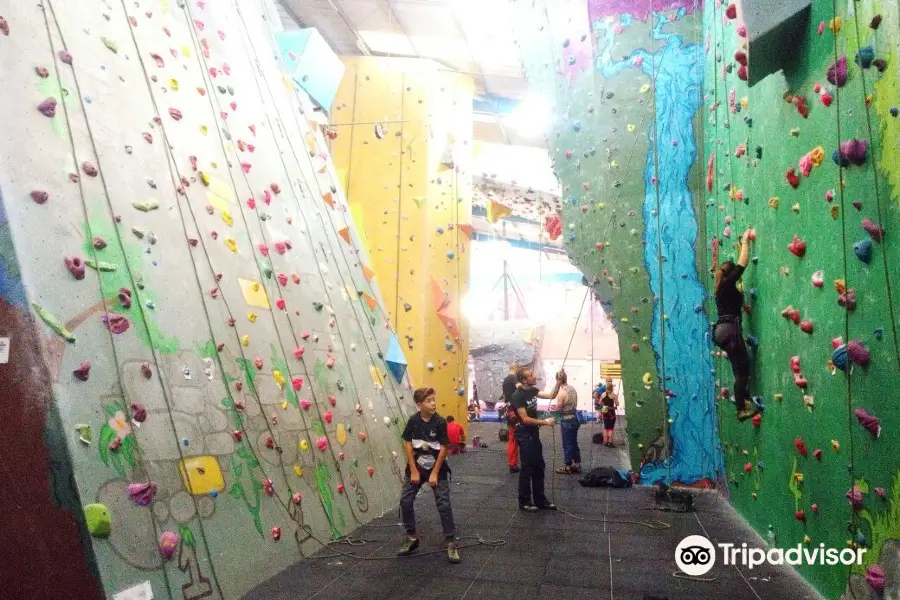 The Reach Climbing Wall