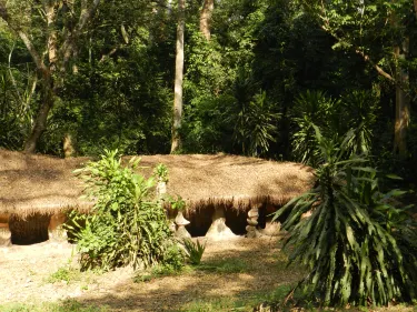 Osun-Osogbo Sacred Grove park and Gardens