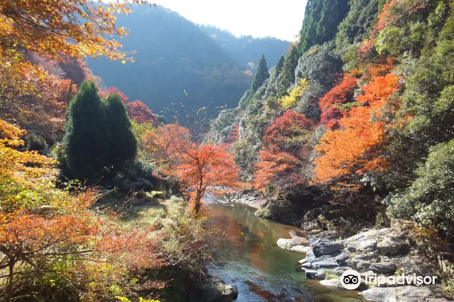 Kiyotaki River