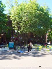 Occidental Square