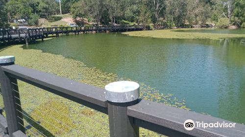 黃金海岸地區植物園