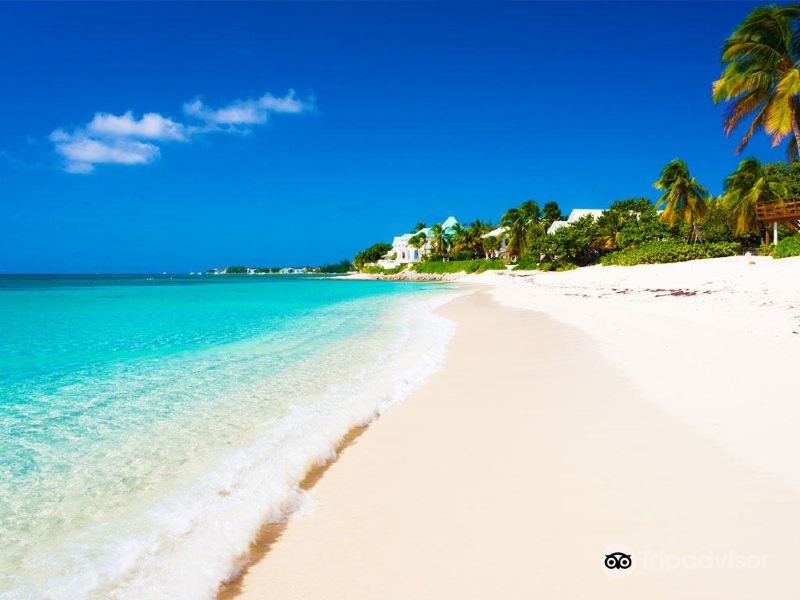 Voli Sarasota Negril