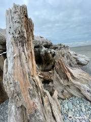 Kalaloch Beach 4