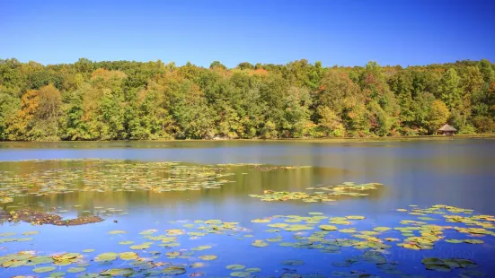 Teatown Lake Reservation