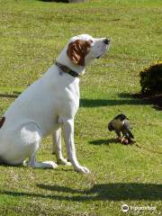 Falcon Ridge - Bird Of Prey Center