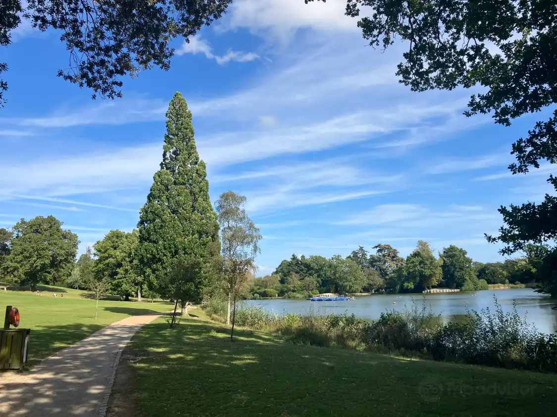 Hotels near Dunorlan Park