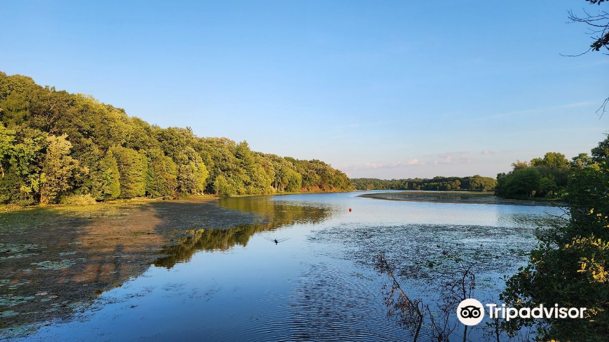 Gallup Park