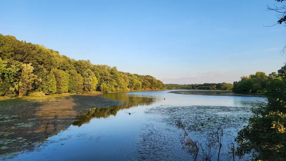 2_Gallup Park