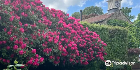 Himalayan Garden & Sculpture Park