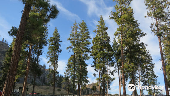 Alta Lake State Park