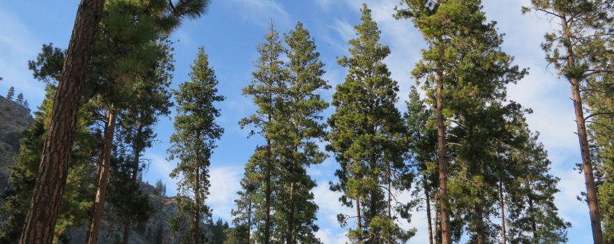 Alta Lake State Park
