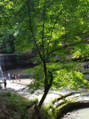 Starved Rock State Park