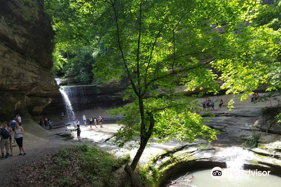 Starved Rock State Park