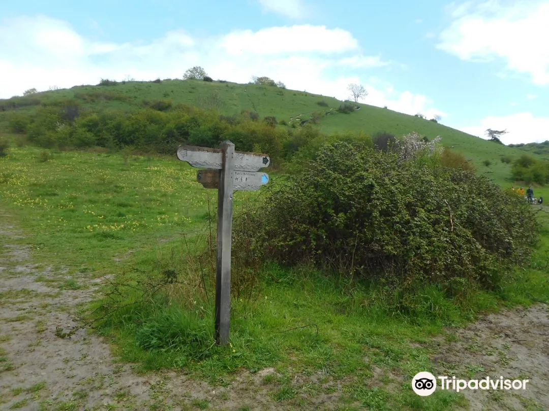 4_St Catherine's Hill