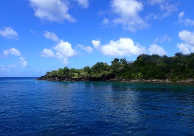 Anse Cochon Beach