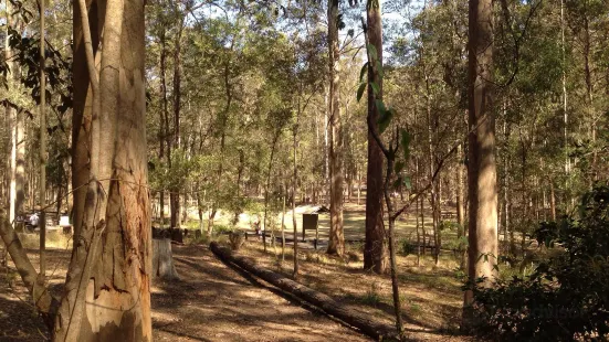 Daisy Hill Conservation Park