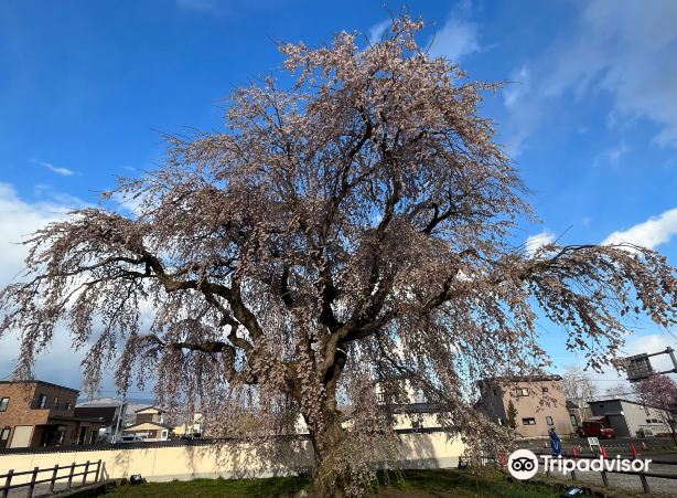 Hokuto