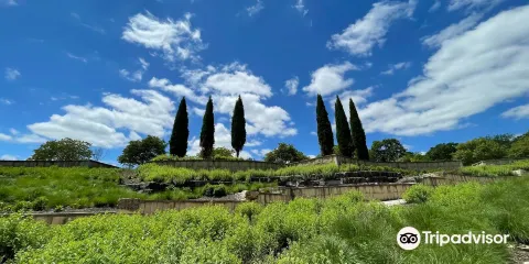 Black Hoof Park and Lake Lenexa