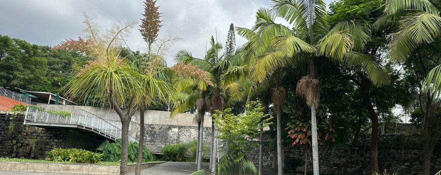 Imaculado Coracao de Maria