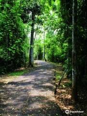 Parque Ambiental Chico Mendes