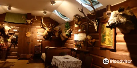 European Bison Reservation