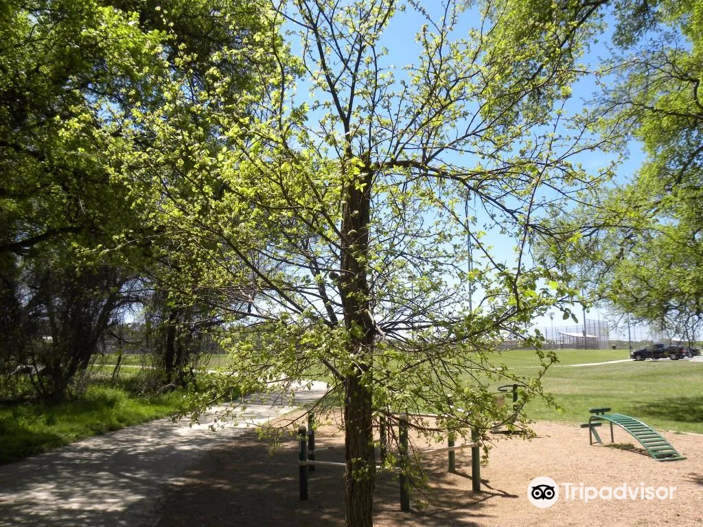 5_Brushy Creek Lake Park