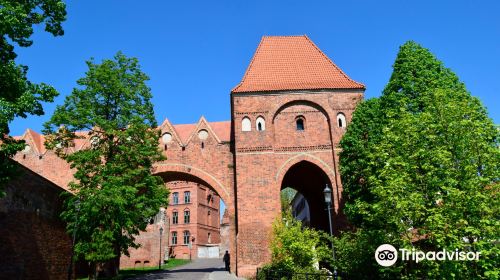 Teutonic Castle ruins