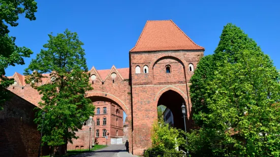 Teutonic Castle ruins