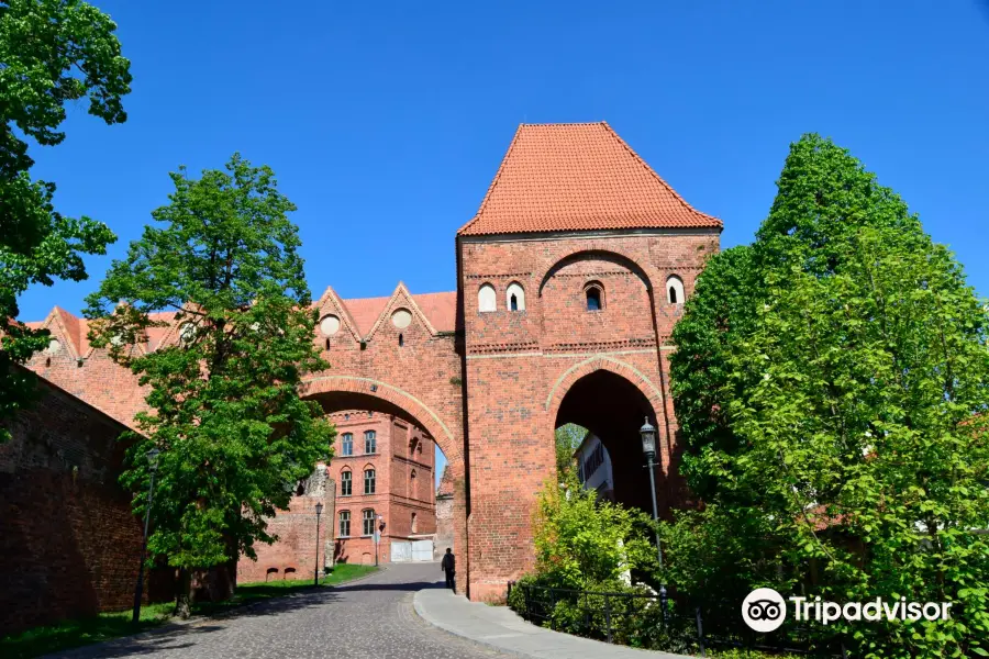 Ruinen der Deutschordensburg Thorn