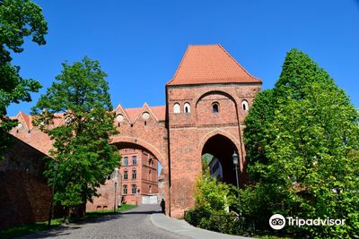 Teutonic Castle ruins