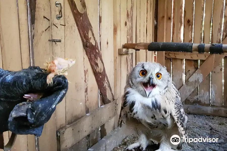 Monitoring And Rehabilitation Center For Predatory Birds Kholzan