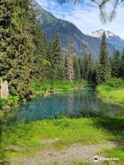 Fish Creek Wildlife Observation Site