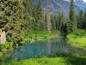 Fish Creek Wildlife Observation Site