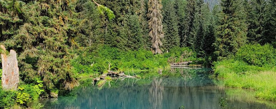Fish Creek Wildlife Observation Site