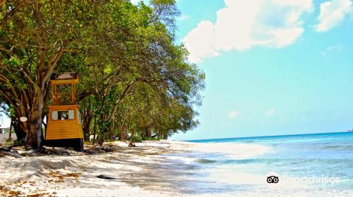 Batts Rock Beach