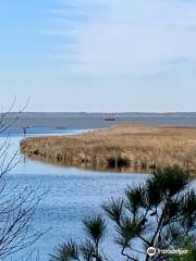 False Cape State Park