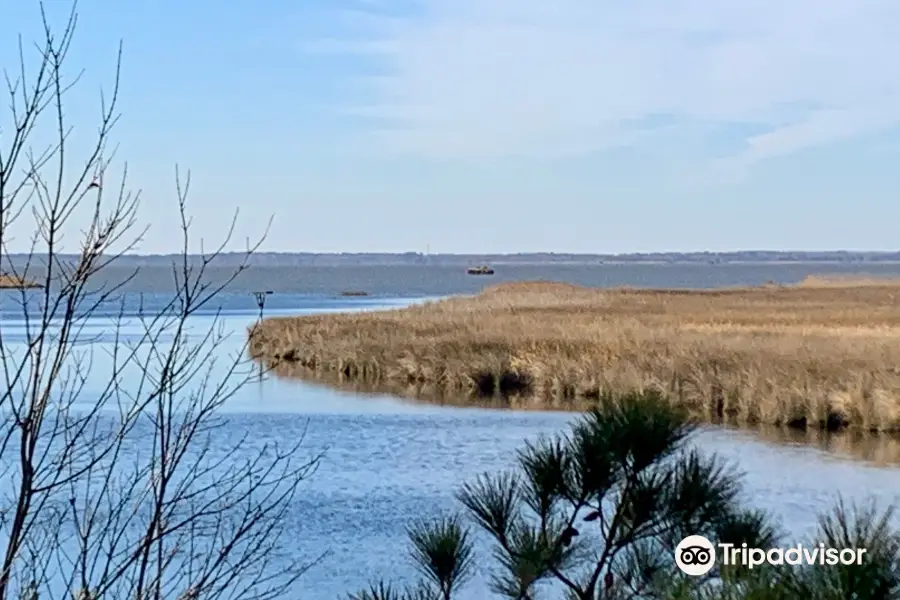 False Cape State Park