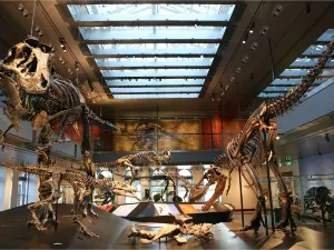 National History Museum of Los Angeles County