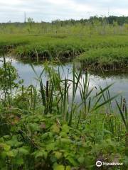 Iroquois National Wildlife Refuge