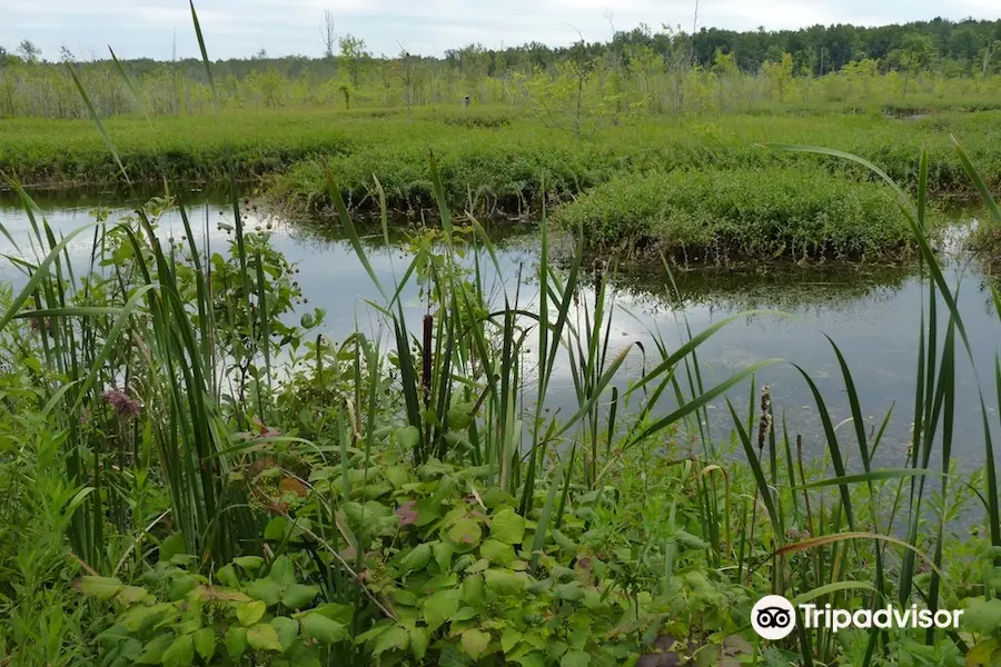 Iroquois National Wildlife Refuge