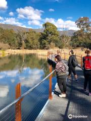 Canberra Urban Adventures