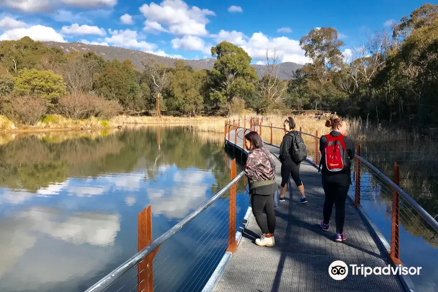 Canberra Urban Adventures