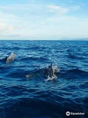 Teluk Kiluan