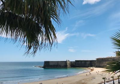 Fortaleza de Sao Juliao Da Barra