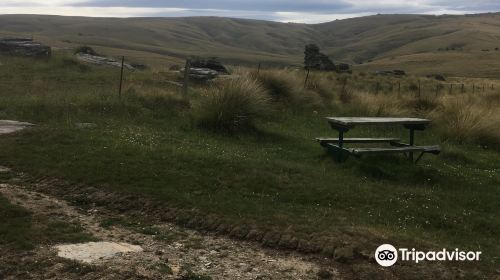 Bullock Track Roxburgh