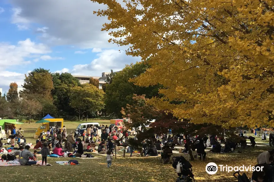 Musashi Kokubunji Park