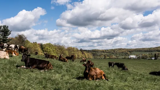 Hawthorne Valley Farm