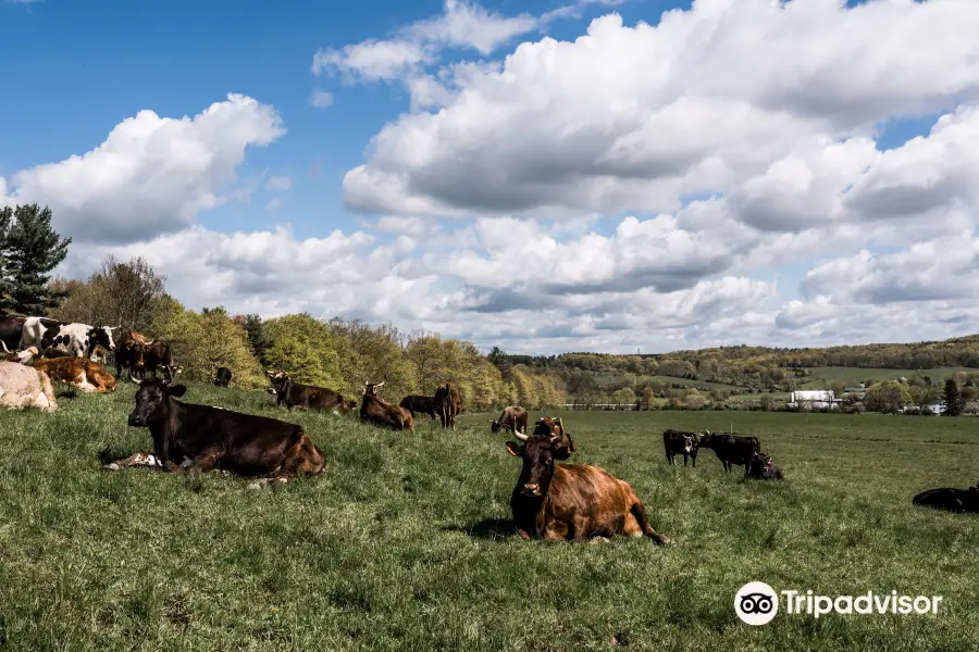 Hawthorne Valley Farm